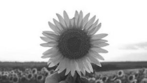 Meet your Posher, Araceli